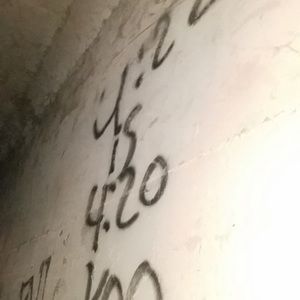 Meet your Posher, Harmony